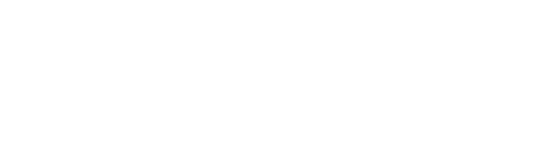 FVP Commerce